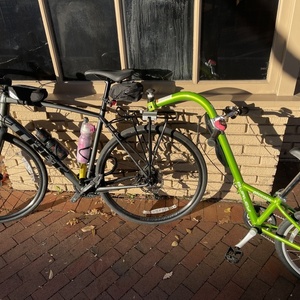 2022 Trek Domane AL5 Black