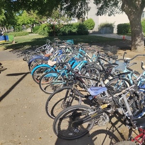 2009 Specialized Stumpjumper Expert Carbon Black