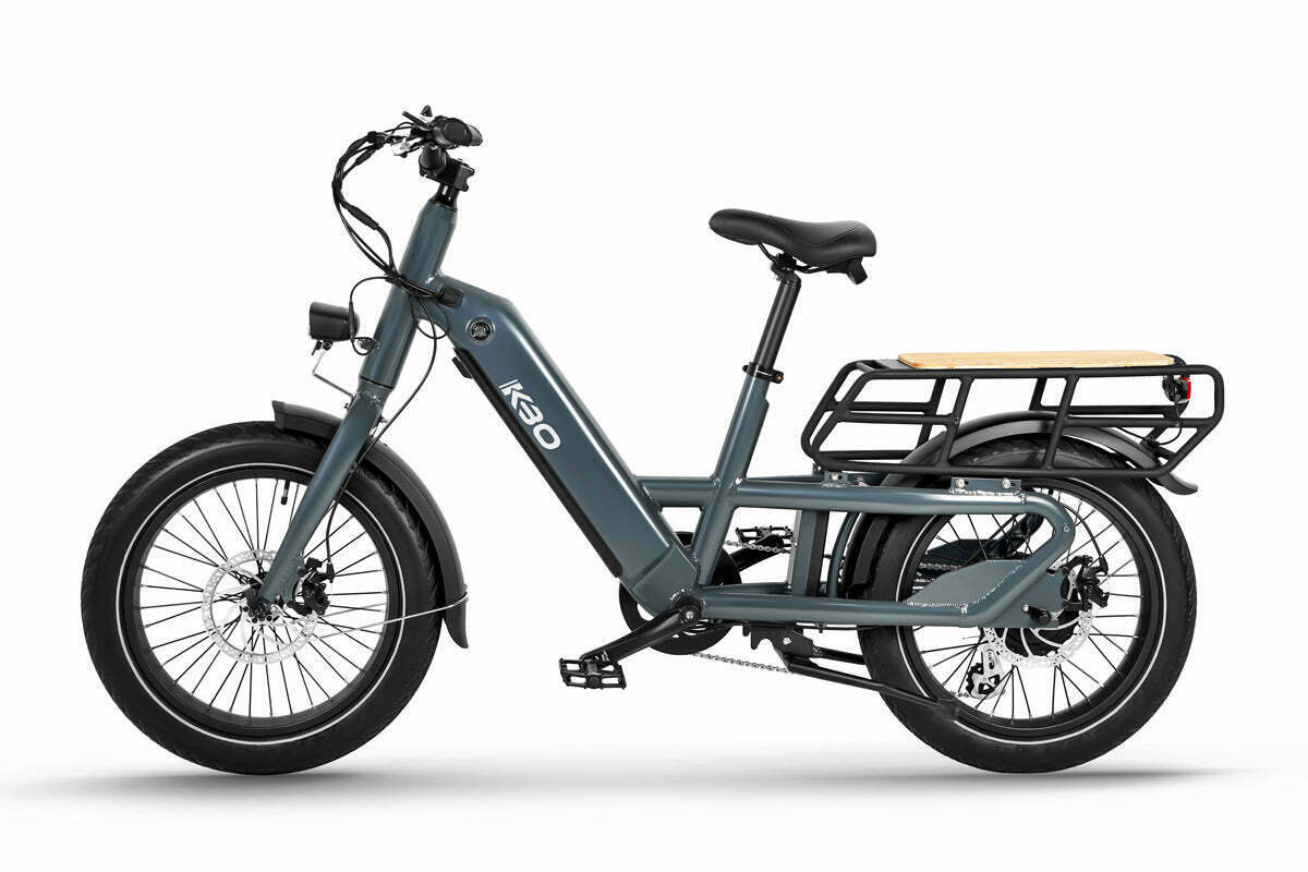 Cargo Bike Rear photo