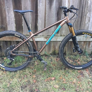 2019 Santa Cruz Chameleon Brown and Blue
