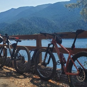 2019 Santa Cruz Chamelon Orange