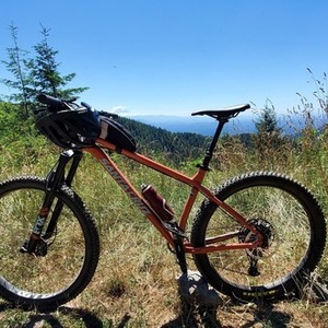 2019 Santa Cruz Chamelon Orange