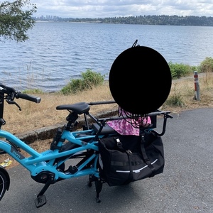 Tern GSD S00 LX Electric Cargo Bike Beetle Blue