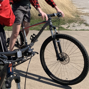 2018 Specialized RHW309968508 Silver, gray or bare metal and Pink