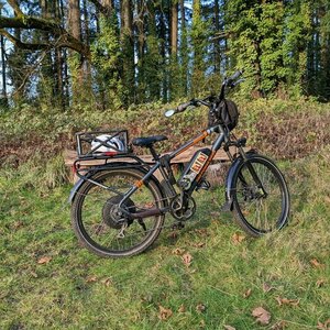 2019 Rad Power Bikes Rad City 2019 Silver, gray or bare metal