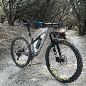 2022 Orbea Oiz Silver, gray or bare metal