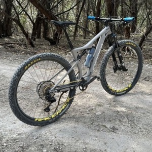 2022 Orbea Oiz Silver, gray or bare metal