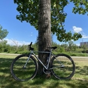 2021 Masi Uno Riser Silver, gray or bare metal