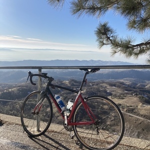 2008 Giant TCR C2 Red en Black