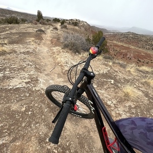 2022 Giant Embolden Ii Purple