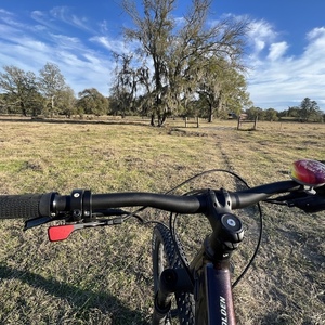 2022 Giant Embolden Ii Purple