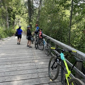 2022 Polygon T7 Yellow or Gold