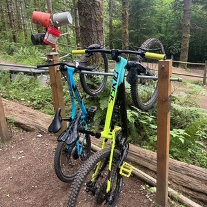 2022 Polygon T7 Yellow or Gold