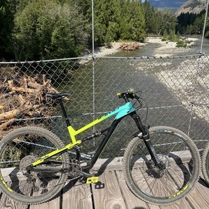 2022 Polygon T7 Yellow or Gold