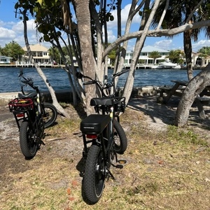 2020 Rad Power Bikes RadRunner Black