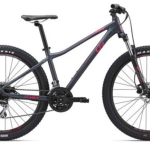 2019 Giant Tempt 3 Silver, gray or bare metal and Pink