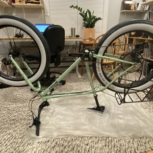 2021 Surly Ice Cream Truck Green