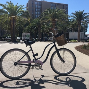 2018 Schwinn cruiser Black