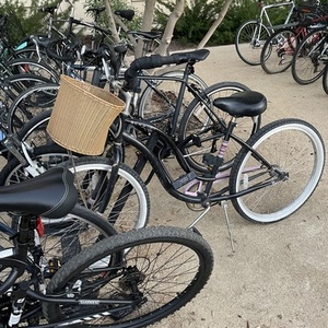 2018 Schwinn cruiser Black