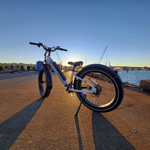 2021 Rad Power Bikes Power 6 Step through White