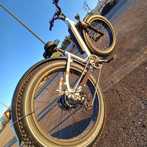 2021 Rad Power Bikes Power 6 Step through White