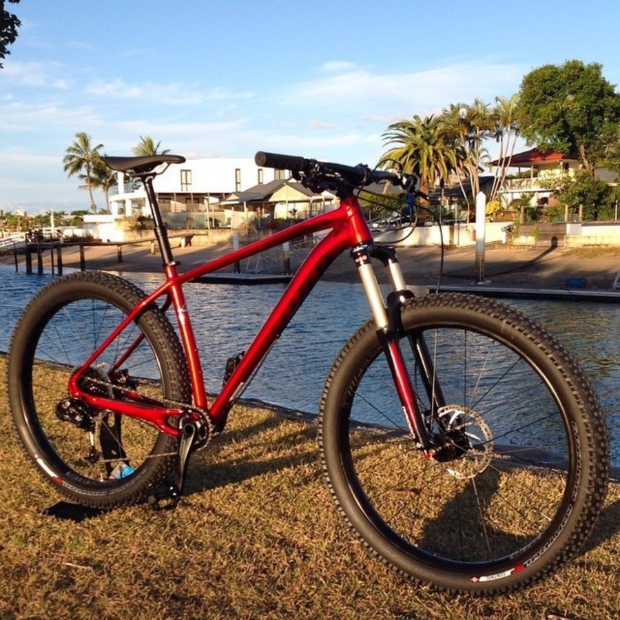 specialized fuse red