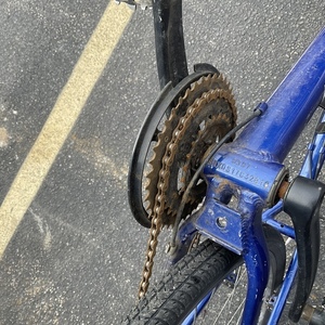 Schwinn 20in Aerostar Aluminum Blue and White