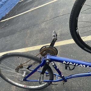 Schwinn 20in Aerostar Aluminum Blue and White