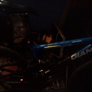 2022 Giant Giant Anthem Advanced 0 Blue and Black