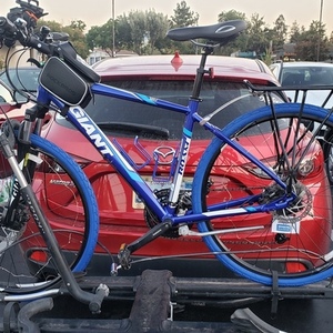 2015 Giant Roam Blue