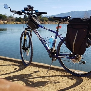 2015 Giant Roam Blue