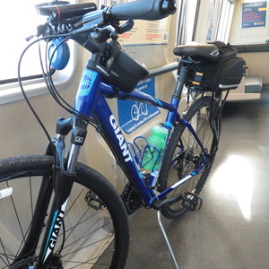 2015 Giant Roam Blue
