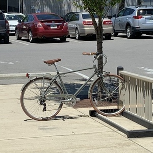 2018 sixthreezero Ride in the Park Silver, gray or bare metal
