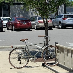 2018 sixthreezero Ride in the Park Silver, gray or bare metal