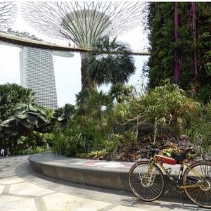 2016 Genesis Croix De fer Yellow or Gold