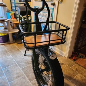 2022 Rad Power Bikes Rad Runner Green