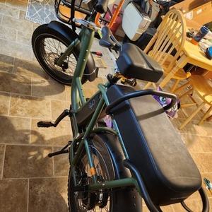 2022 Rad Power Bikes Rad Runner Green