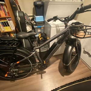 2023 Rad Power Bikes RadRover 6 Plus High-Step Silver, gray or bare metal and Black