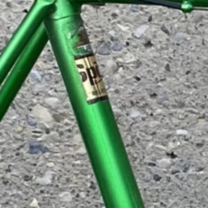 1972 Raleigh Sports Green