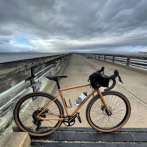 2021 Marin Bikes Nicasio Plus Brown