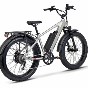 2020 Juiced Bikes Ripcurrent S Silver, gray or bare metal