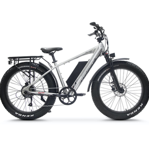 2020 Juiced Bikes Ripcurrent S Silver, gray or bare metal