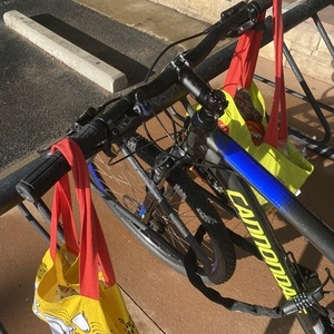 Cannondale Trail 5 Blue, Black, and Yellow or Gold