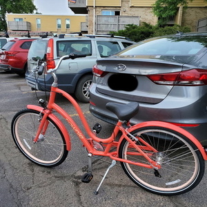 2020 Electra Townie Pink