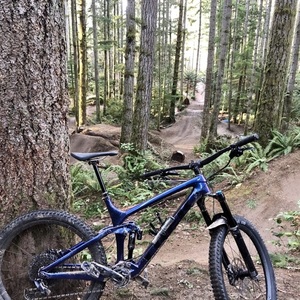 2021 Trek Remedy 9.8 Purple