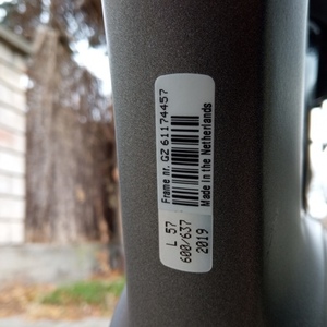 2019 Gazelle Arroyo C7+ Silver, gray or bare metal