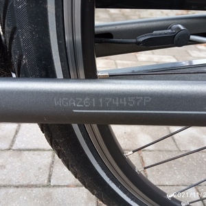 2019 Gazelle Arroyo C7+ Silver, gray or bare metal