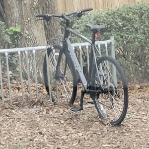 2021 Trek Fx2 Black