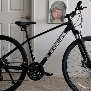 2021 Trek Dual Sport 1 Blue