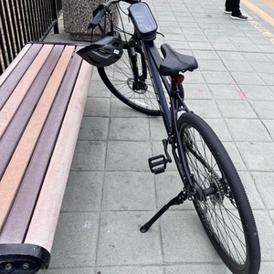 2021 Trek Dual Sport 1 Blue